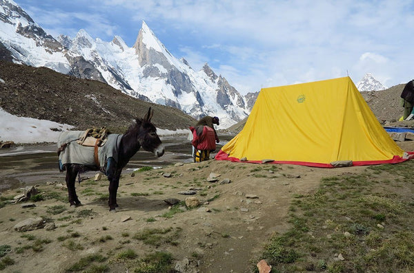 K2 Gondogoro La Trek 2020 - K2 Base Camp Trek